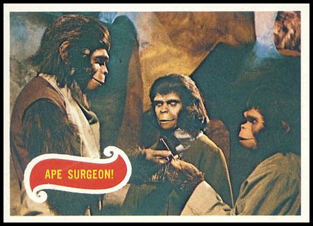 18 Ape Surgeon